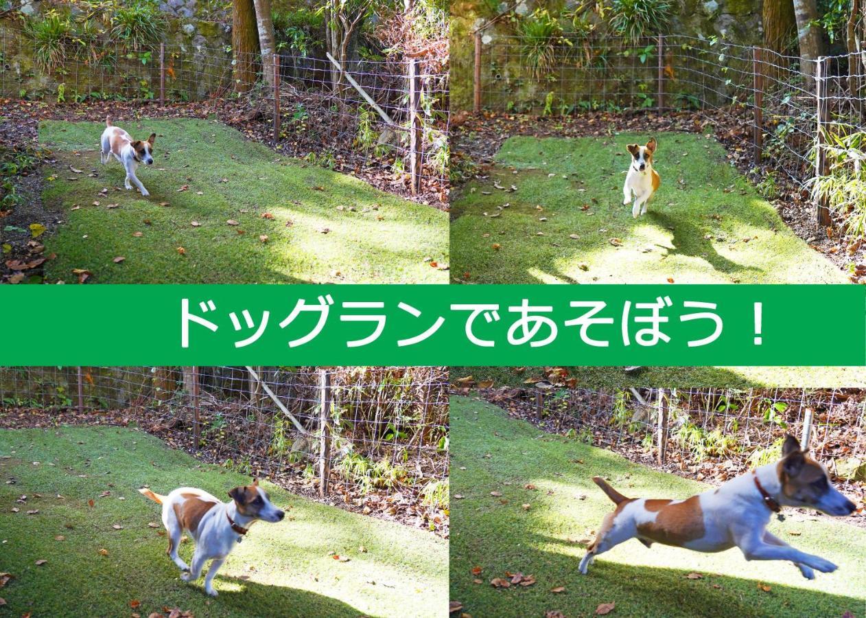 Villa Liberte Hakone Gora Buitenkant foto